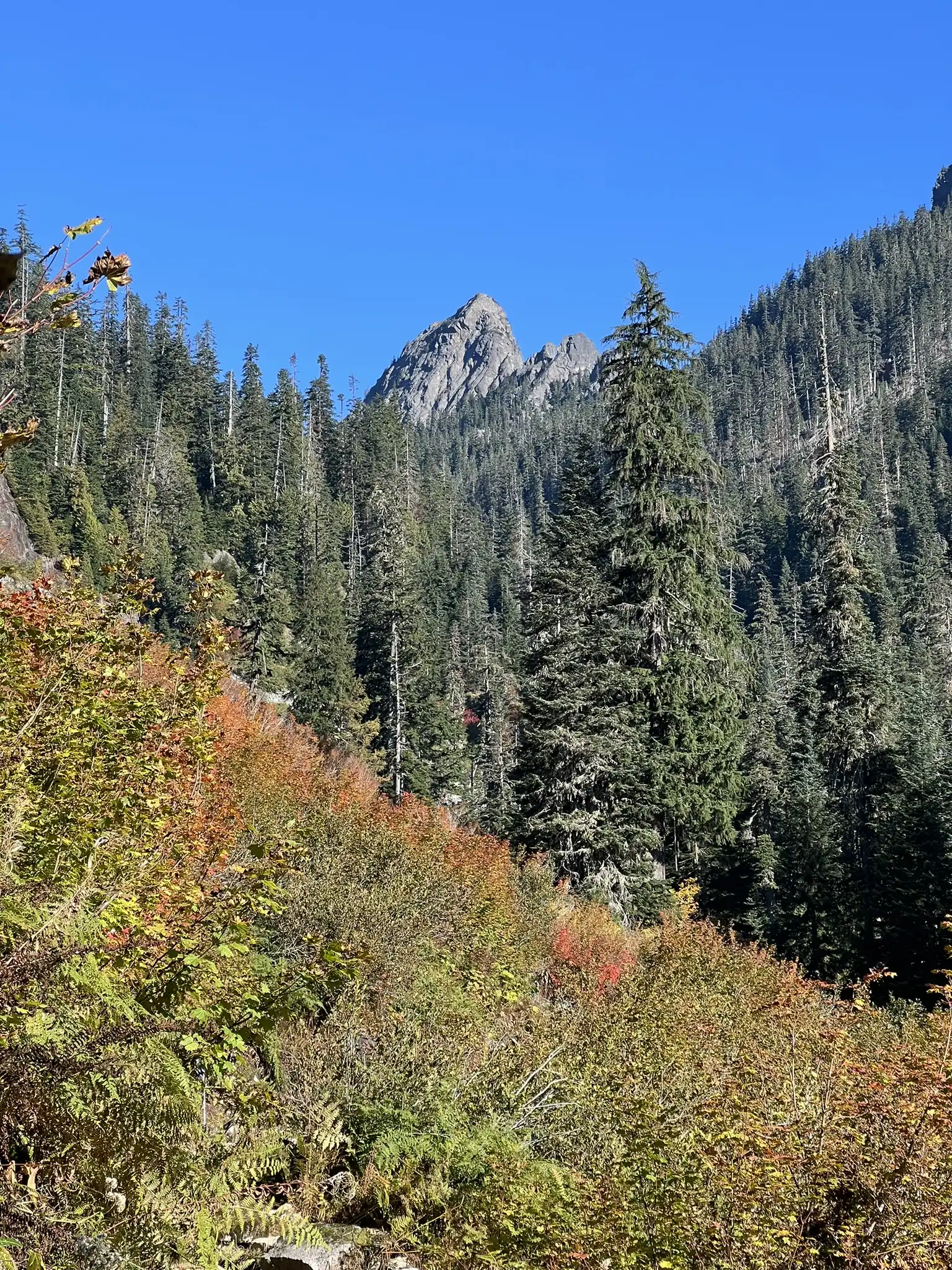 First view of Kaleetan Peak with fall color