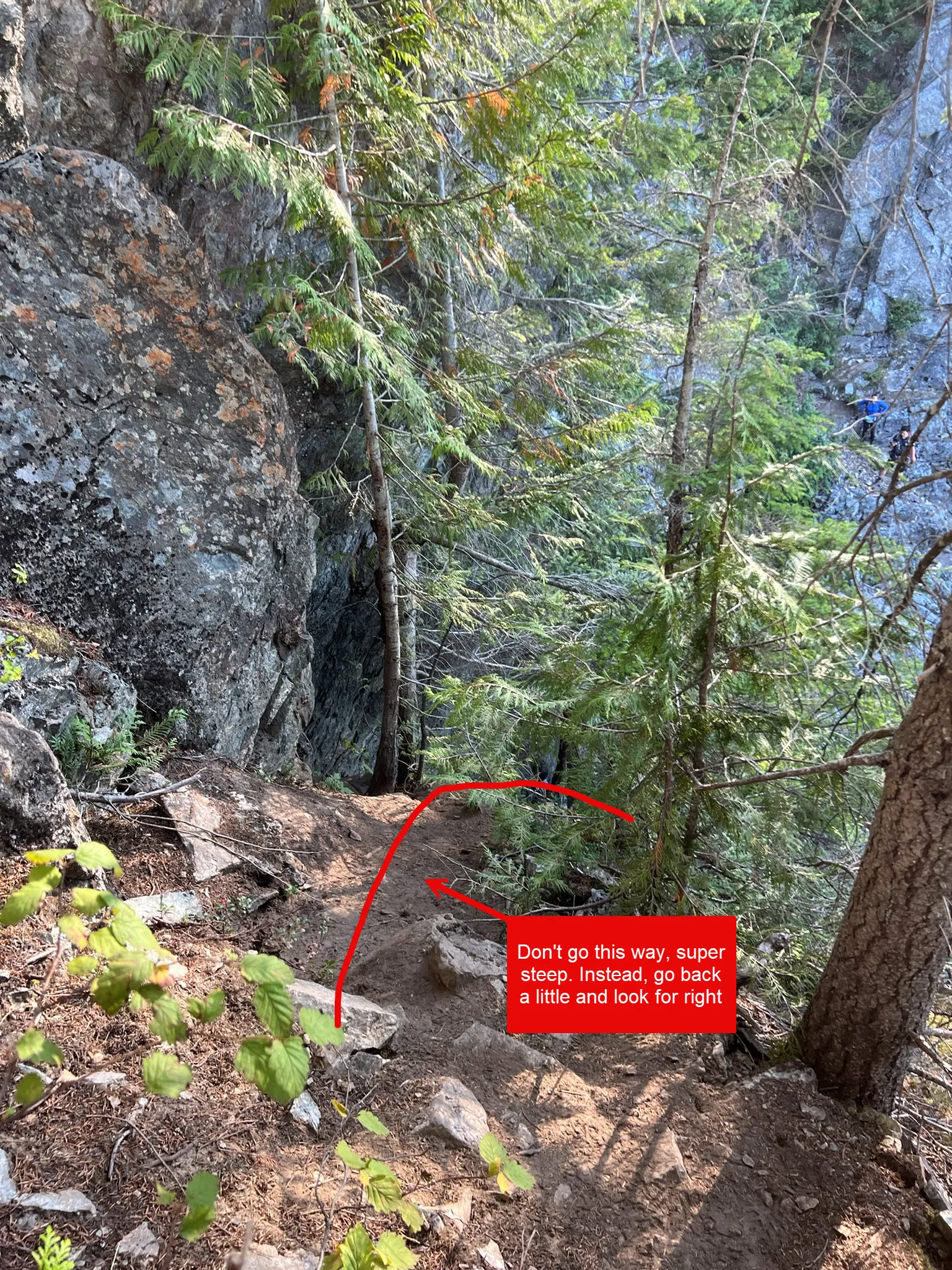 go back down and look right