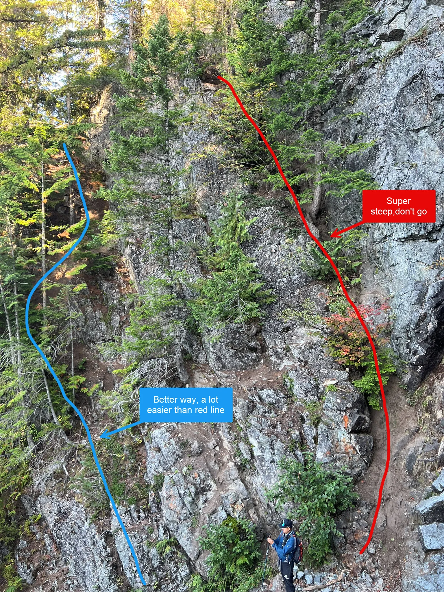 blue line is much better