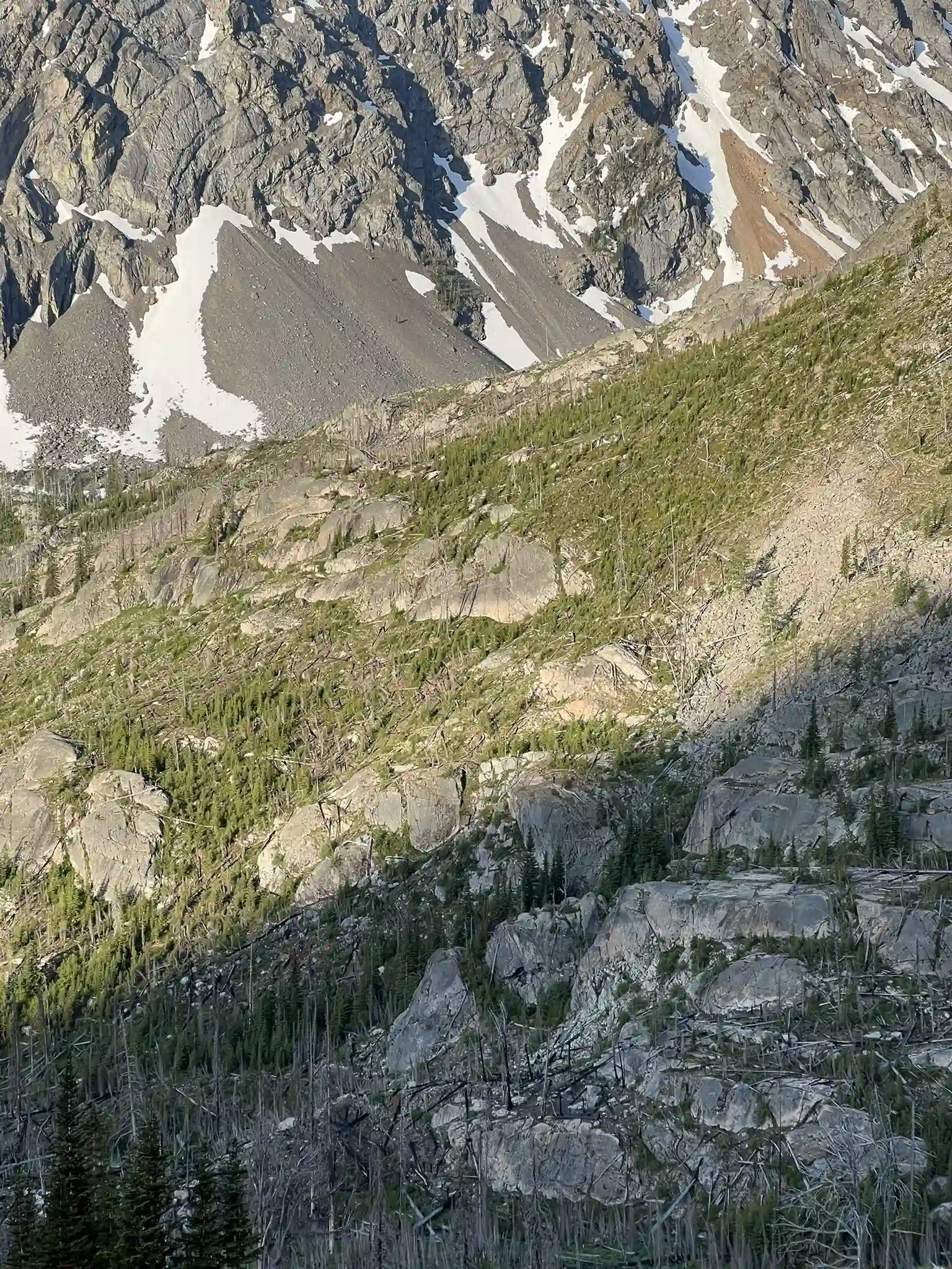 Looking down burn area to abernathy peak