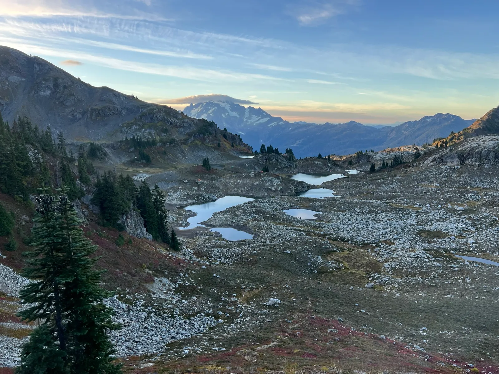 yellow aster butte lakes