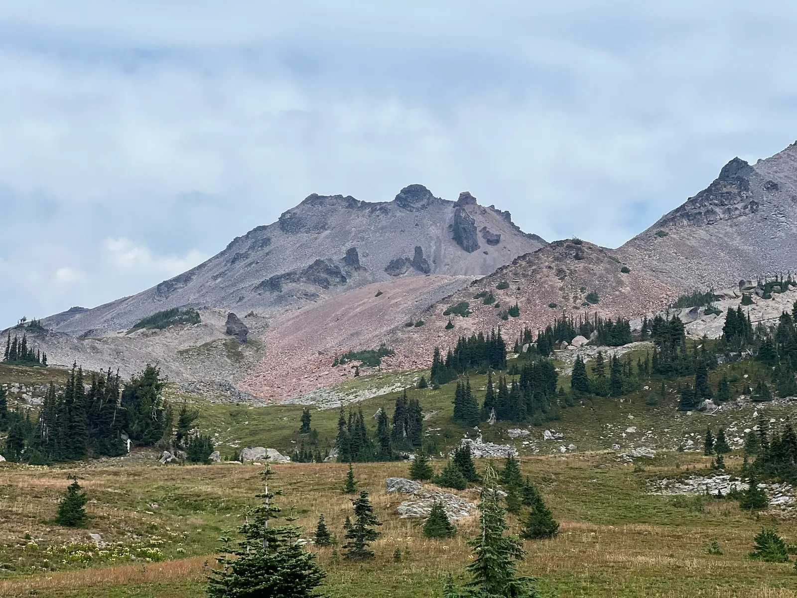 Old Snowy Mountain and Snowgrass Flat